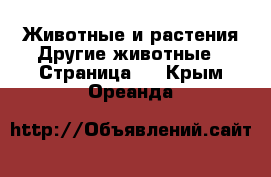 Животные и растения Другие животные - Страница 2 . Крым,Ореанда